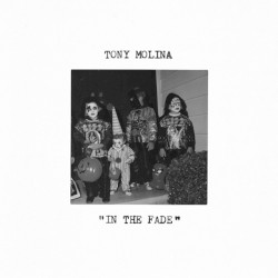 In the Fade