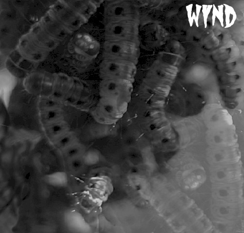 Wynd