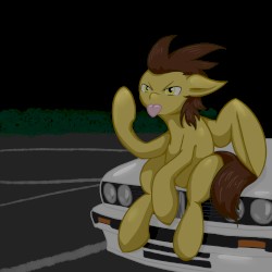 Middlehoof EP