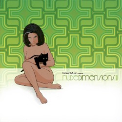 Nude Dimensions, Volume 3 (Mixed by Bruno Ybarra)