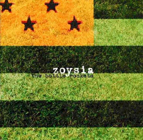 Zoysia