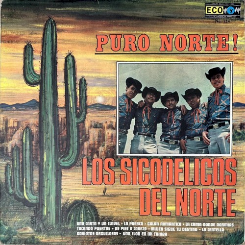 Puro Norte