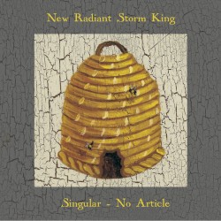 Singular - No Article