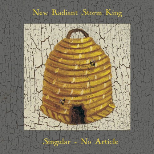 Singular - No Article
