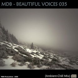 Beautiful Voices 035 (Ambient-Chill Mix)