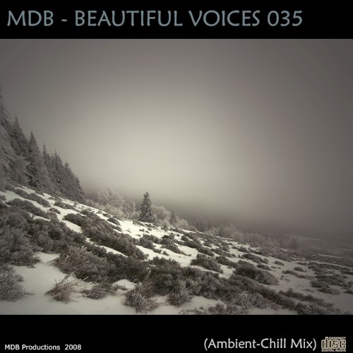 Beautiful Voices 035 (Ambient-Chill Mix)