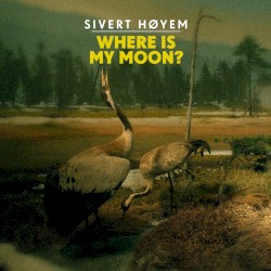 Where Is My Moon?