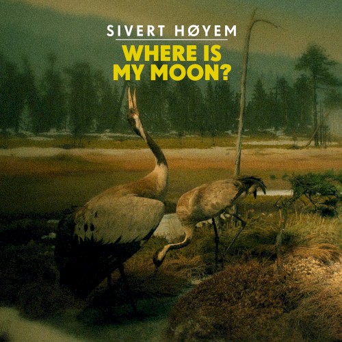 Where Is My Moon?