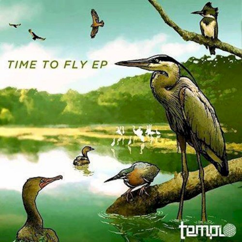 Time to Fly
