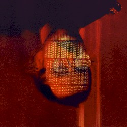 In the Wall