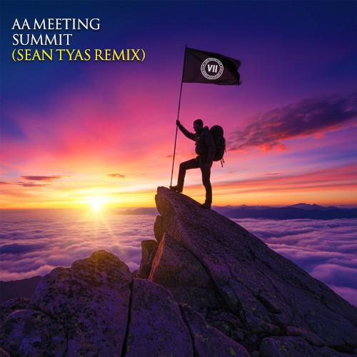 Summit (Sean Tyas remix)