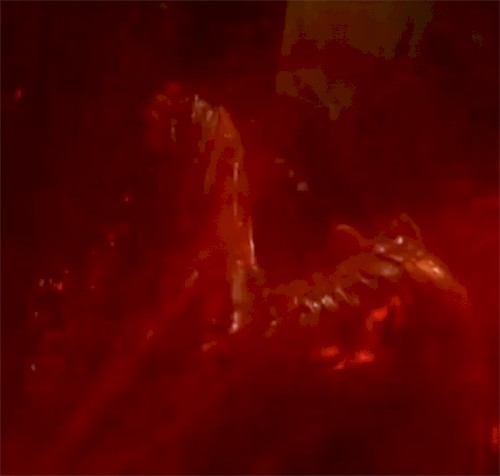 Scanners
