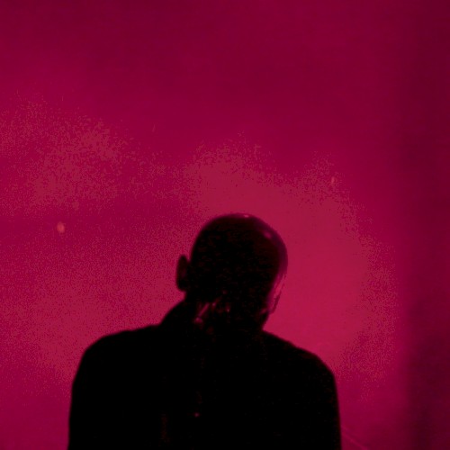 Live at Trans Musicales