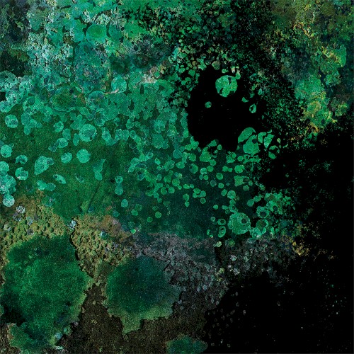 Breed in Me the Darkness: The Second Coming Mixes by Andrew Liles