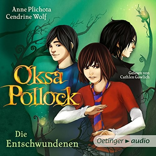 Oksa Pollock Die Entschwundenen