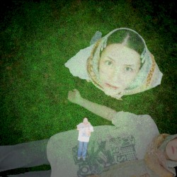 Fallen
