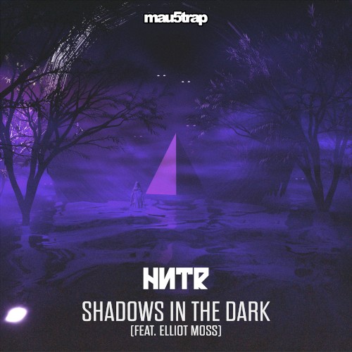 Shadows in the Dark
