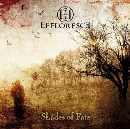Shades of Fate