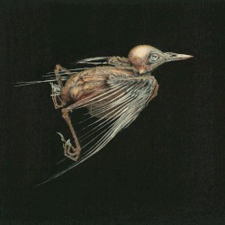 Meshes of Voice