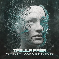 Sonic Awakening