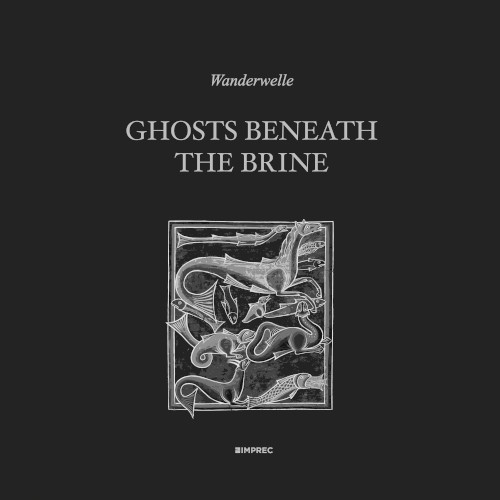 Ghosts Beneath the Brine
