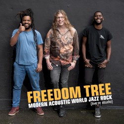 Modern Acoustic World Jazz Rock