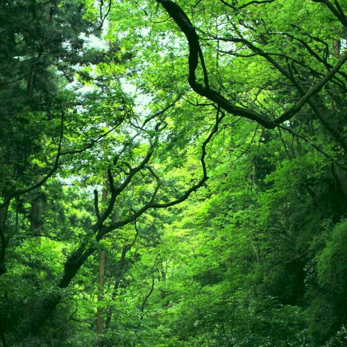 Hayama Ambient, Vol.2