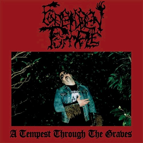 A Tempest Through the Graves