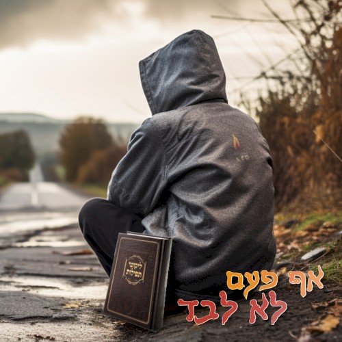 אף פעם לא לבד