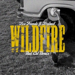 Wildfire (Rad Cat remix)