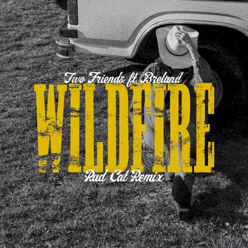 Wildfire (Rad Cat remix)