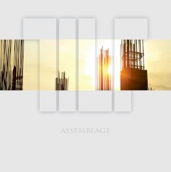 Assemblage