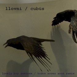 Lonely Boy Remixxx / Todos Esses Anos Remix
