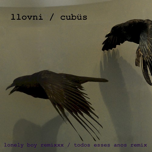 Lonely Boy Remixxx / Todos Esses Anos Remix