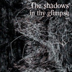 The Shadows in Thy Glimpse: Bedouin Records Selected Discography 2016–2018