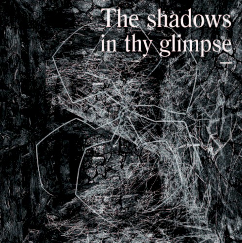 The Shadows in Thy Glimpse: Bedouin Records Selected Discography 2016–2018