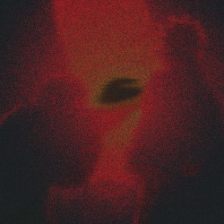 will_of_the_heart_remix