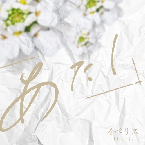 イベリス