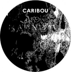 Barnowl