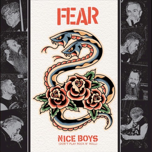 Nice Boys (Don't Play Rock N' Roll)