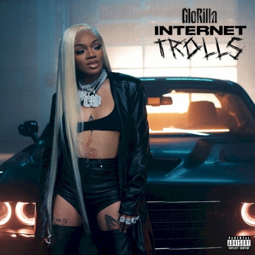 Internet Trolls