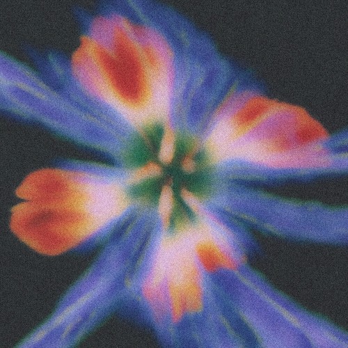 Used To Know