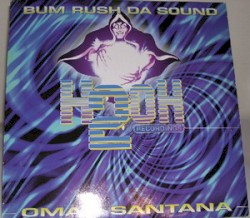Bum Rush Da Sound