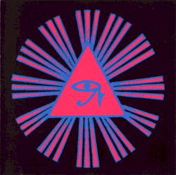 The Psychedelic Experience