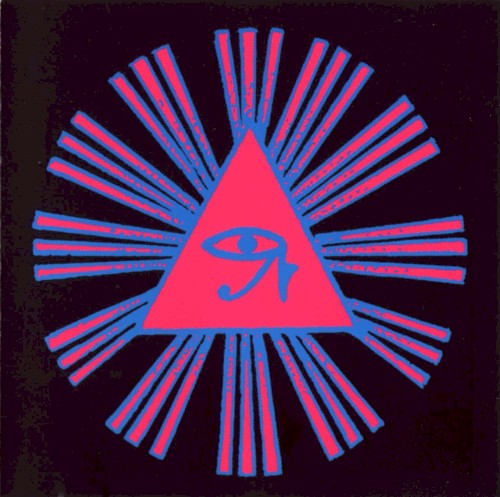 The Psychedelic Experience