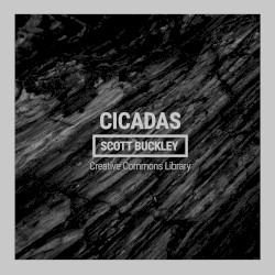 Cicadas