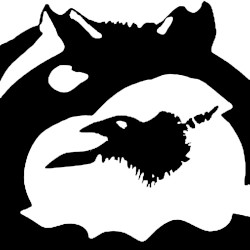 Wolf & Raven