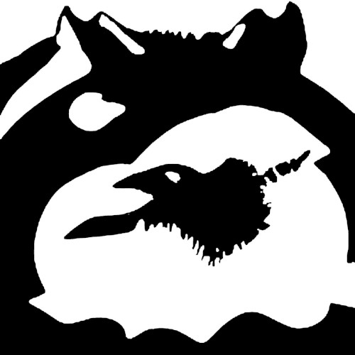 Wolf & Raven