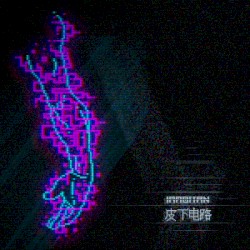 皮下电路 - Subcutaneous Circuits