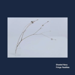 Fringe Realities